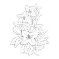 dibujo de flor de campana página para colorear de elemento gráfico de impresión de estilo doodle vector