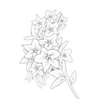 bell flower drawing coloring page of doodle style print graphic element vector