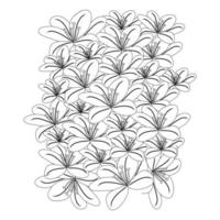 repeat pattern lilium flower black and white background of doodle style drawing vector