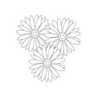 chamomile flowers black and white outline vector illustration isolated on white background