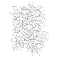 plumeria flower doodle coloring page outline vector illustration of isolated in white background