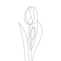 tulip flower line art coloring page for kid drawing of black stroke design vector