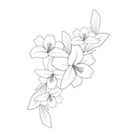 wedding background of doodle lily flower line art drawing for printing element vector