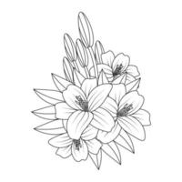 lily flower coloring page drawing for kids activies art with line drawing illustration vector
