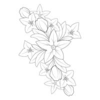 dibujo de flor de campana página para colorear de elemento gráfico de impresión de estilo doodle vector