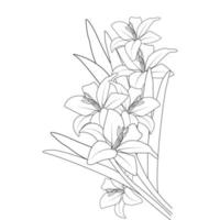 lily line drawing vector of flower coloring page drawing for printing element