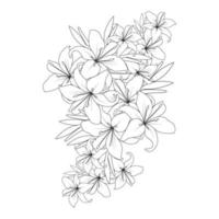 lily flower vector graphic line art design for coloring book page illustration