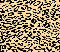 Leopard background. Seamless pattern. Animal print. vector