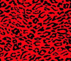 Leopard background. Seamless pattern. Animal print. vector