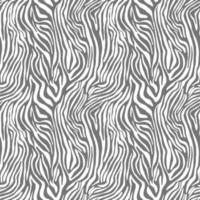 Vector animal print. Zebra ornament. Seamless pattern