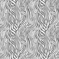 Vector animal print. Zebra ornament. Seamless pattern