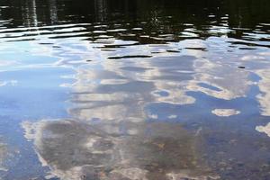 vista detallada de las superficies de agua con ondas y ondas y la luz del sol reflejada en la superficie foto