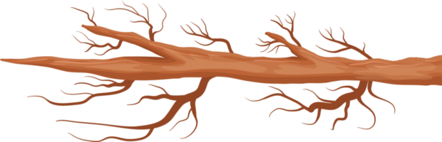 ilustração de design de clipart de galho de árvore png