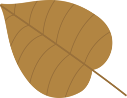 ilustração de design de clipart de folhas tropicais