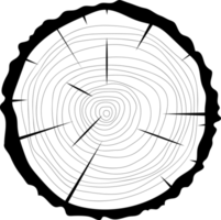 sección transversal de la ilustración de diseño de clipart de árbol de madera png