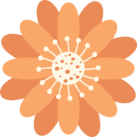 illustrazione di progettazione clipart di bellissimi fiori png