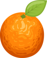 läcker orange frukt clipart design illustration png