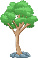 illustrazione di progettazione di clipart dell'albero png