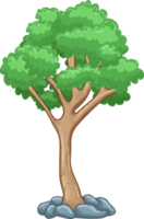 Baum-Clipart-Design-Illustration png