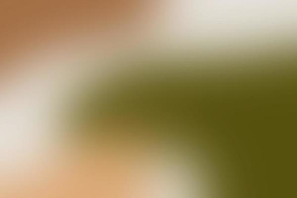 Beautiful gradient background, toning, subtle earth tone colors, blurred background.