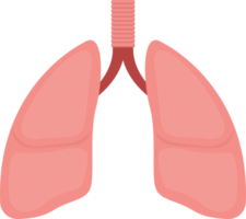 illustrazione di progettazione di clipart del polmone png