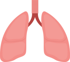 Lung clipart design illustration png