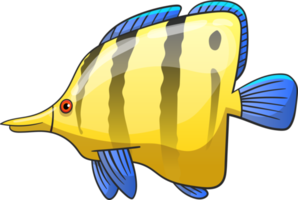 Fish drawing clipart design illustration png