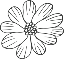 illustration de conception clipart fleur dessiné à la main png
