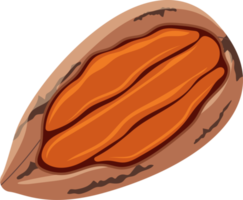 ilustração desing de clipart de nozes e amendoins