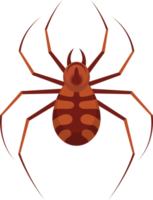 Ilustración de diseño de imágenes prediseñadas de araña png