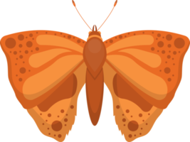 Ilustración de diseño de imágenes prediseñadas de mariposa png