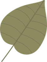 ilustração de design de clipart de folhas tropicais