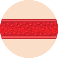 Blood vessel clipart design illustration