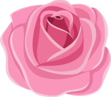 ilustração de design de clipart de elementos rosa png