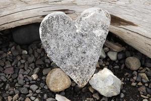 un corazón de hielo apoyado contra el tronco de un árbol. foto