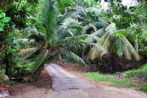 Beautiful impressions of the tropical landscape on the Seychelles islands paradise photo