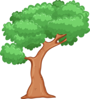 Ilustración de diseño de imágenes prediseñadas de árbol png