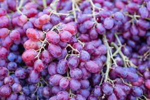 Pile of fresh red grapes for sale in the market photo