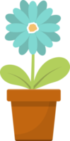 Flower in pot clipart design illustration png