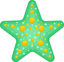 ilustración de diseño de imágenes prediseñadas de estrellas de mar png