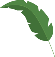 Tropical leaves clipart design illustration png