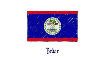 Belize National Country Flag Marker or Pencil Sketch Illustration Video
