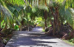 Beautiful impressions of the tropical landscape on the Seychelles islands paradise photo