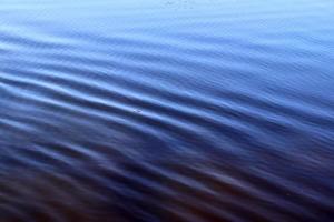 Detailed close up view on water surfaces with ripples and waves and the sunlight reflecting at the surface photo