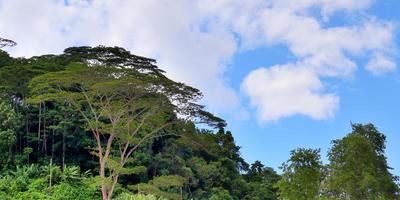 Beautiful impressions of the tropical landscape on the Seychelles islands paradise photo