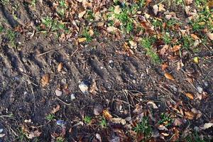 Detailed close up view on agricultural grounds and acre in high resolution photo