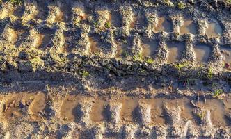 Detailed close up view on agricultural grounds and acre in high resolution photo