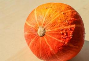 Beautiful orange pumpkin on a wooden background during helloween with copy space photo