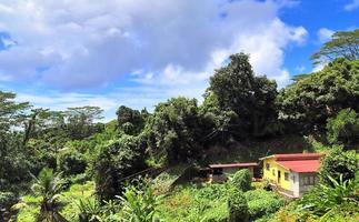 hermosas impresiones del paisaje tropical en el paraíso de las islas seychelles foto