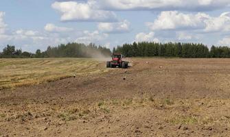 Arable Field and forest photo